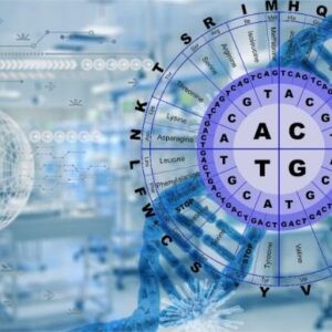 Nucleotide_seq_analysis-large