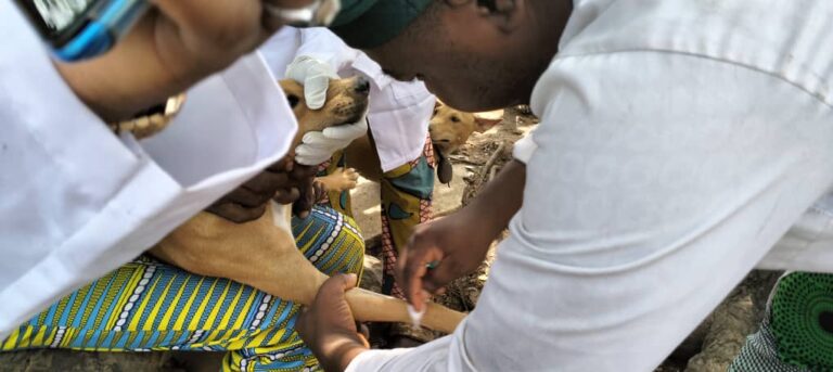 Community Action Network Workshop among Hunters and Wildlife Traders on Zoonotic Diseases: Bridging Knowledge and Cultures