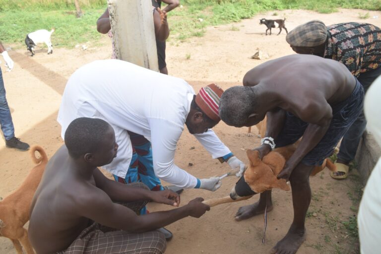 Ewekoro Animal Health Outreach